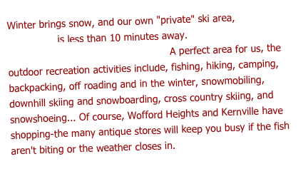 Winter brings snow, and our own "private" ski area, Shirley Meadows , is less than 10 minutes away. Check the current conditions at our NEW CABIN CAM!! A perfect area for us, the outdoor recreation activities include, fishing, hiking, camping, backpacking, off roading and in the winter, snowmobiling, downhill skiing and snowboarding, cross country skiing, and snowshoeing... Of course, Wofford Heights and Kernville have shopping-the many antique stores will keep you busy if the fish aren't biting or the weather closes in. 